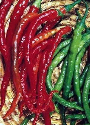CYBEXIS Cayenne Pepper (Capsicum annum) Seeds 2400 Seeds Seed