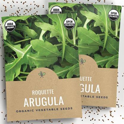 VibeX ® VXI-134 Arugula Wild Rocket Seeds Seed