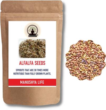manushya life Alfalfa seeds for sprouting, 950 grm, Alfa alfa seeds Seed