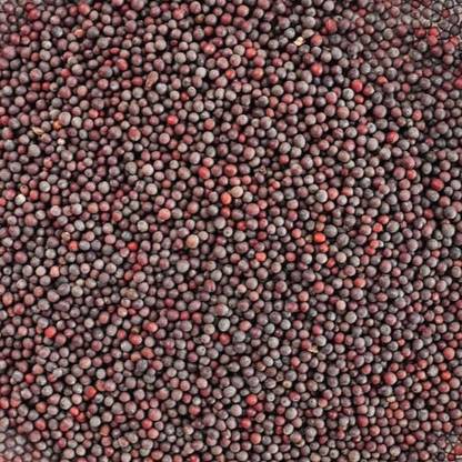 ANDARISTORE Sarson k beenj small/ Ava Ginjalu small / Black Mustard Seeds Seed
