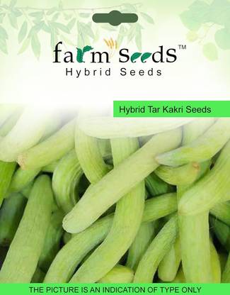 CRGO ® PUSA-16-Hybrid Tar Kakri 1 Packet Seeds Seed