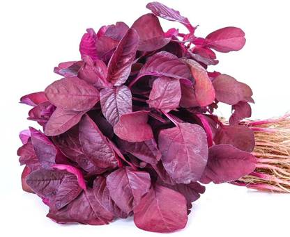 Aywal Amaranthus Leaf Red/Cholai Red Saag Seed