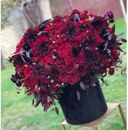 greenfarm NXC- Rose Flower Seeds/ Gulab Seeds/ Organic , 90 X Seeds ,juh86 Seed