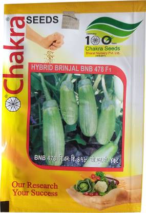 RAJKUMAR BEEJ BHANDAR CHAKRA Seed