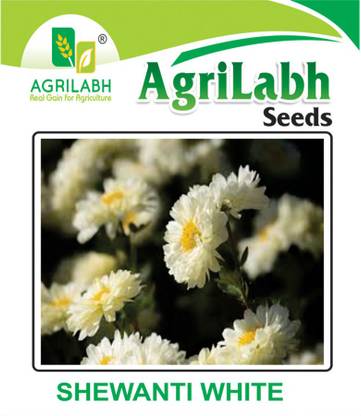 agrilabh FLOWERS SEEDS, SHEWANTI SEEDS, SHEWANTI FLOWER Seed