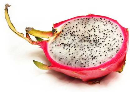 Oliver hybrid dragon fruit seed Seed