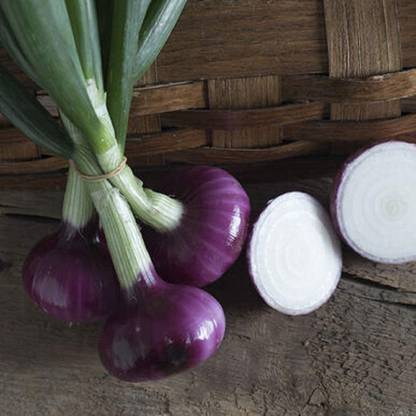 VibeX ® XXL-320 Onion Short-Day Desert Sunrise (Purple) Seed