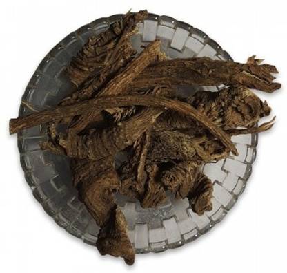 Nature planat Angelica (Roots), Angelica Archangelica, Chora, Choru, Gandrayan Seed