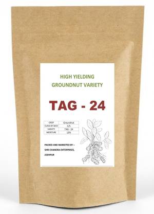 Green World TAG-24 Groundnut Seeds/Mungfali Beej Farming Researched Seeds 1 Kg Seed