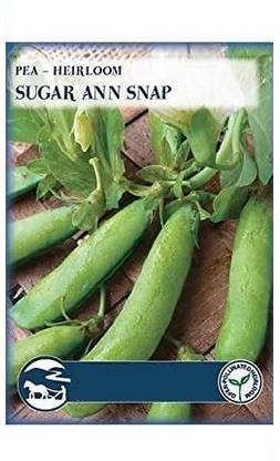 CYBEXIS Sugan Ann Snap Peas400 Seeds Seed
