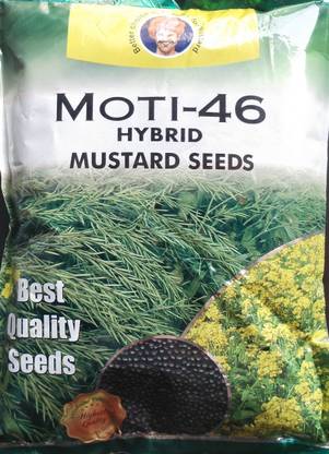 Hybrid mustard seeds 1kg, Hybrid Moti 46 mustard seeds (yield 16-19 Quintal/acer) highest yield Seed