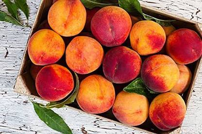 KANAYA Peach Fruit (Aadu) Fruit Seed