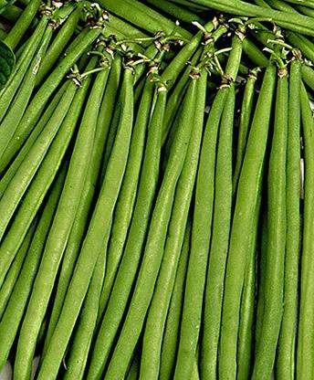 Aywal Vegetable French Beans For Home and Gardning Winter Seed