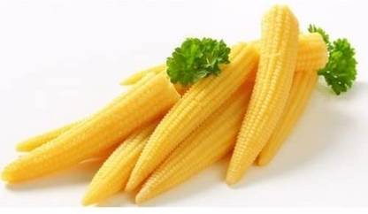 CRGO SWEETCORN , AMERICAN SWEETCORN , MAKKA Seed
