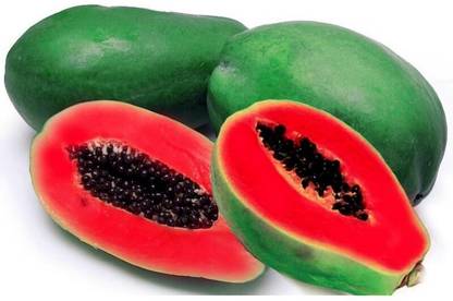 KLARKEE Red Caribbean Papaya Seed Seed