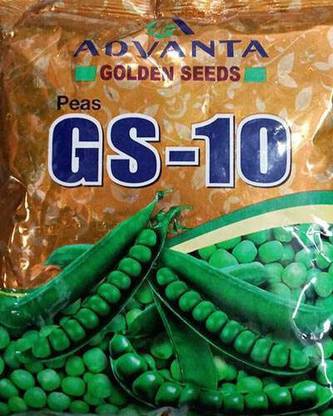 Cloud Farm upl pea advanta seeds Seed