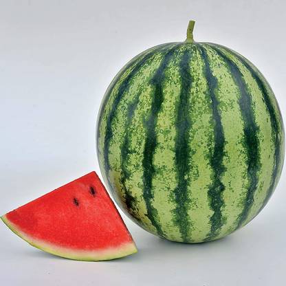 CYBEXIS NBIR-25 - Watermelon Mambo Hybrid - (450 Seeds) Seed