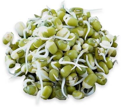 Shiv-Shakti Group Mung Bean, Green Gram, Golden Gram, Mongo, Green Soy, Celera Bean, Jerusalem Pea, Moong Dal Seed