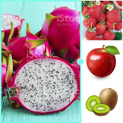 Oliver apple,litchi,kiwi,dragon fruit seeds Seed