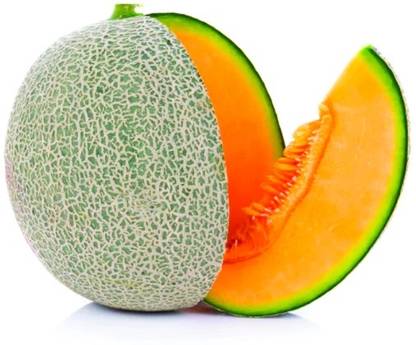 MRCY Shamam Fruit (Muskmelon) Seed
