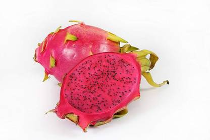 wequality Dragon Seed