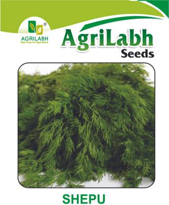 agrilabh SHEPU OR DILL LEAVES Seed