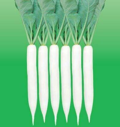 JD AGRO Radish Palak Patta Seed