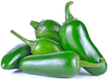 CYBEXIS Jalapeno Chilli Pepper Seeds-300 Seeds Seed