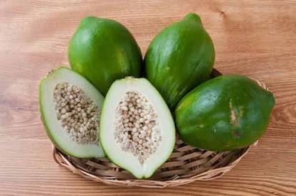 KLARKEE Super Sweet Papaya Seed Seed
