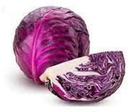 VibeX Vegetable Red Cabbage (लाल पत्ता गोभी) seeds For Gardening Winter(250 Seeds) Seed