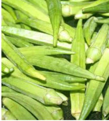 greenfarm NXC- Long Okra Seeds/ Bhindi seeds / Best Quality ,260 X Seeds ,AXR142 Seed
