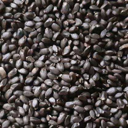 eKisanzone Basil Seeds, Sabja Seeds, Tukmaria Seeds, Sweet Basil Seeds, Herbal Plants Seeds Seed