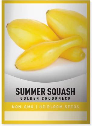 Biosnyg Squash Golden Crookneck Summer [100 Seeds] Seed