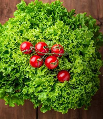 Biosnyg Romaine Lettuce Seed