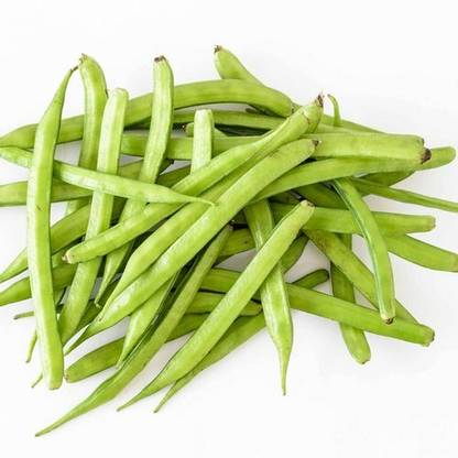 XOLDA Clusterbeans (GUAR) Seed