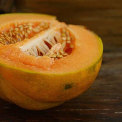 VibeX ATS-50 - Noir des Carmes French Cantaloupe - (150 Seeds) Seed