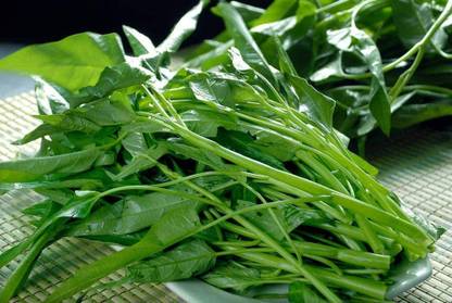 CYBEXIS XL-46 - Water Spinach Kangkong - (250 Seeds) Seed