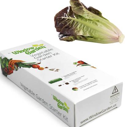 VibeX ® VXI-635 Lettuce Vegetable Starter Kit Seed