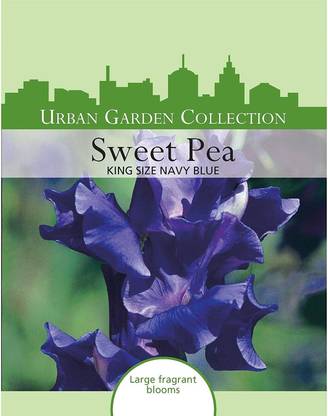 CYBEXIS Urban Garden Flowers - Sweet Pea King Size Navy Blue Seed