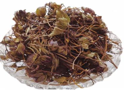 BHARAT JADI BOOTI Jufa - Hyssopus officinalis Linn – Hyssop - Issopo - Holy Herb Seed