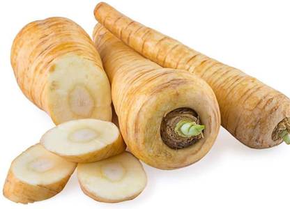 CYBEXIS Parsnip Guernsey Vegetable Seeds1200 Seeds Seed