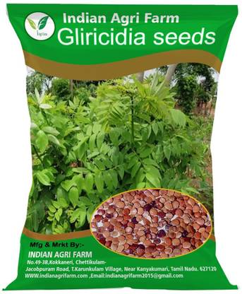 IAgriFarm Gliricidia Seed / Gliricidia Sepium / Tree Seeds - 1 Kg for Fodder Cultivation Seed