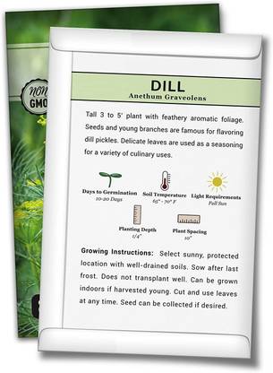 VibeX XLL-52 - Dill - Elephant - (750 Seeds) Seed