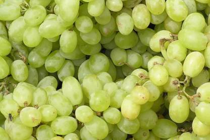 PASCLE Organic Green Super Sweet Grapes Seed