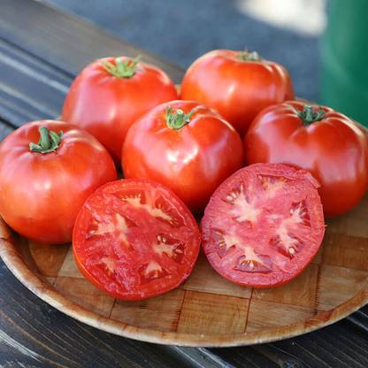 VRAKSHA Tomato Skyway Seed