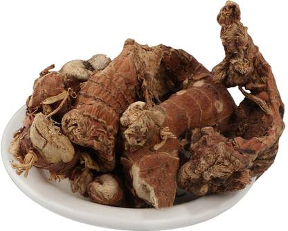 Elysian Enterprises Kulanjan - Kulinjan - Paan Jadd - Siamese Ginger - Thai Ginger - Galangal Seed