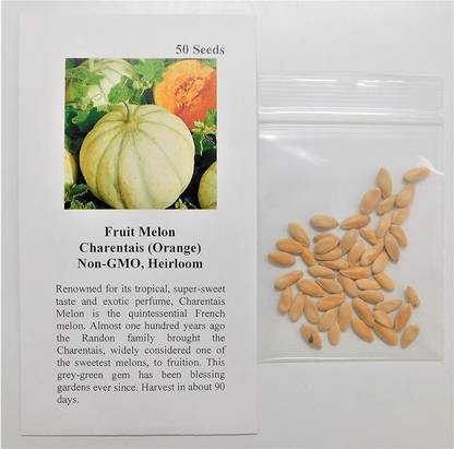 WILLVINE LX-303 Musk Melon Charentais (Orange) Seed