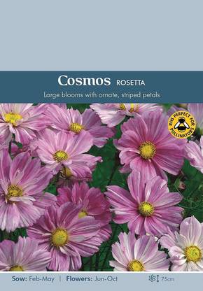 CYBEXIS Flower - Cosmos Rosetta Seed