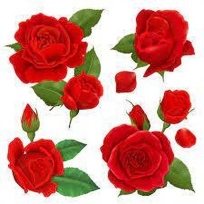 greenfarm Fragrant Rose Flower Seeds / Gulab Seeds Imported 120 X Seeds , KJ228 Seed