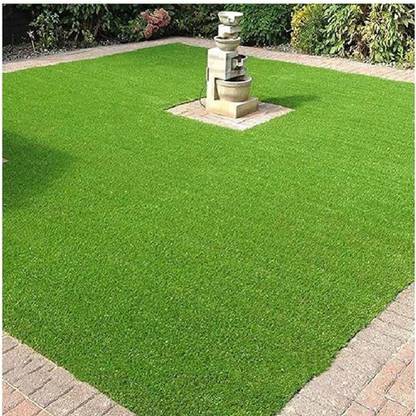 SeeGreen Maxican Carpet Grass Seeds| Barmuda Grass | lawn Grass8 Seed